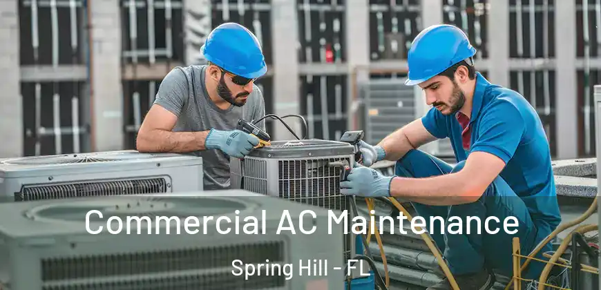  Commercial AC Maintenance Spring Hill - FL